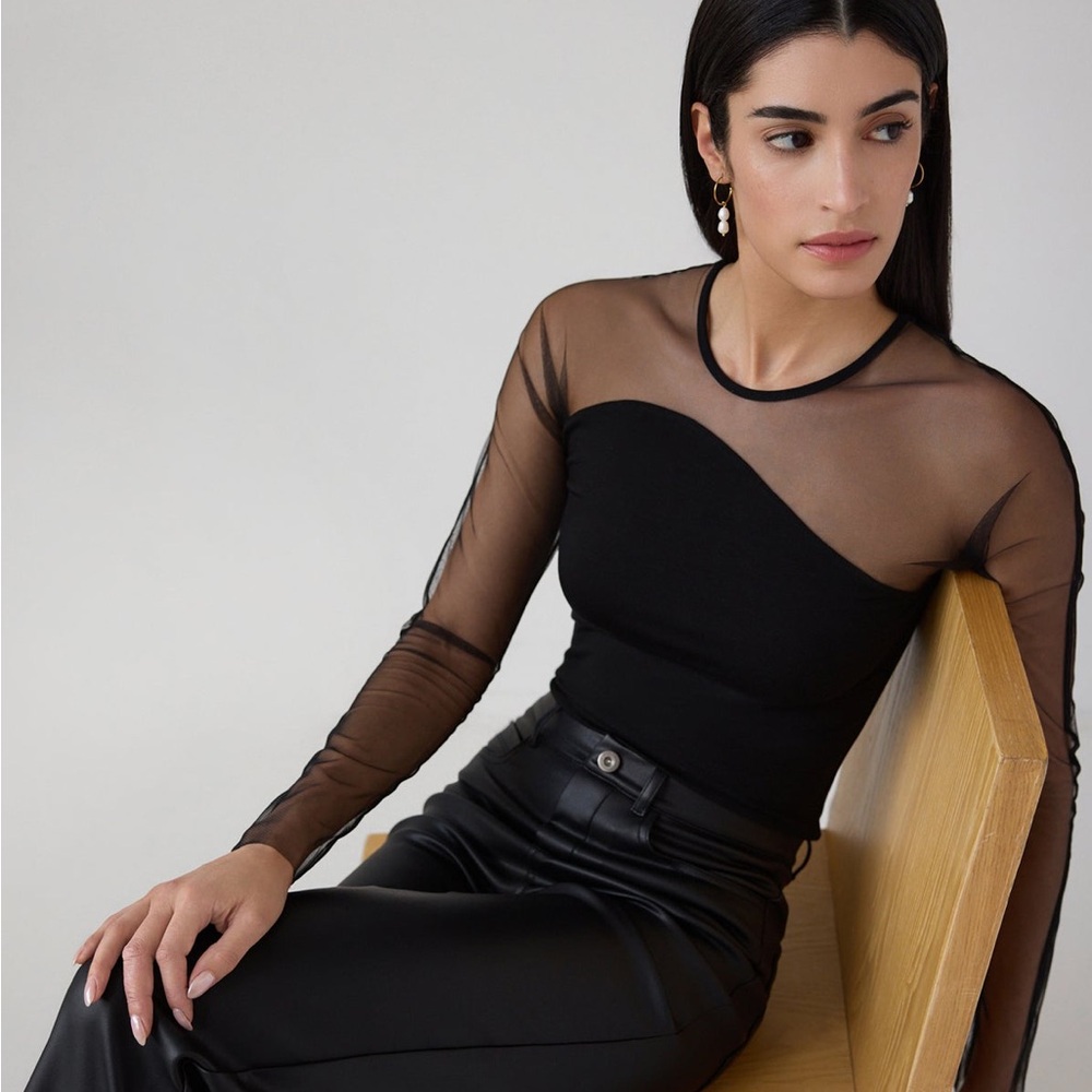 Chic Black Sheer Long Sleeve Top